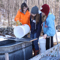 March Maple Syrup-Sugaring Season